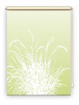 Rollo Reed24 Apfel dark, Rollo, Motivrollo, Rollo mit Druck, Fotorollo, bedrucktes Rollo, Fensterrollo,verdunkelndes Rollo, Sonnenschutz Rollo
